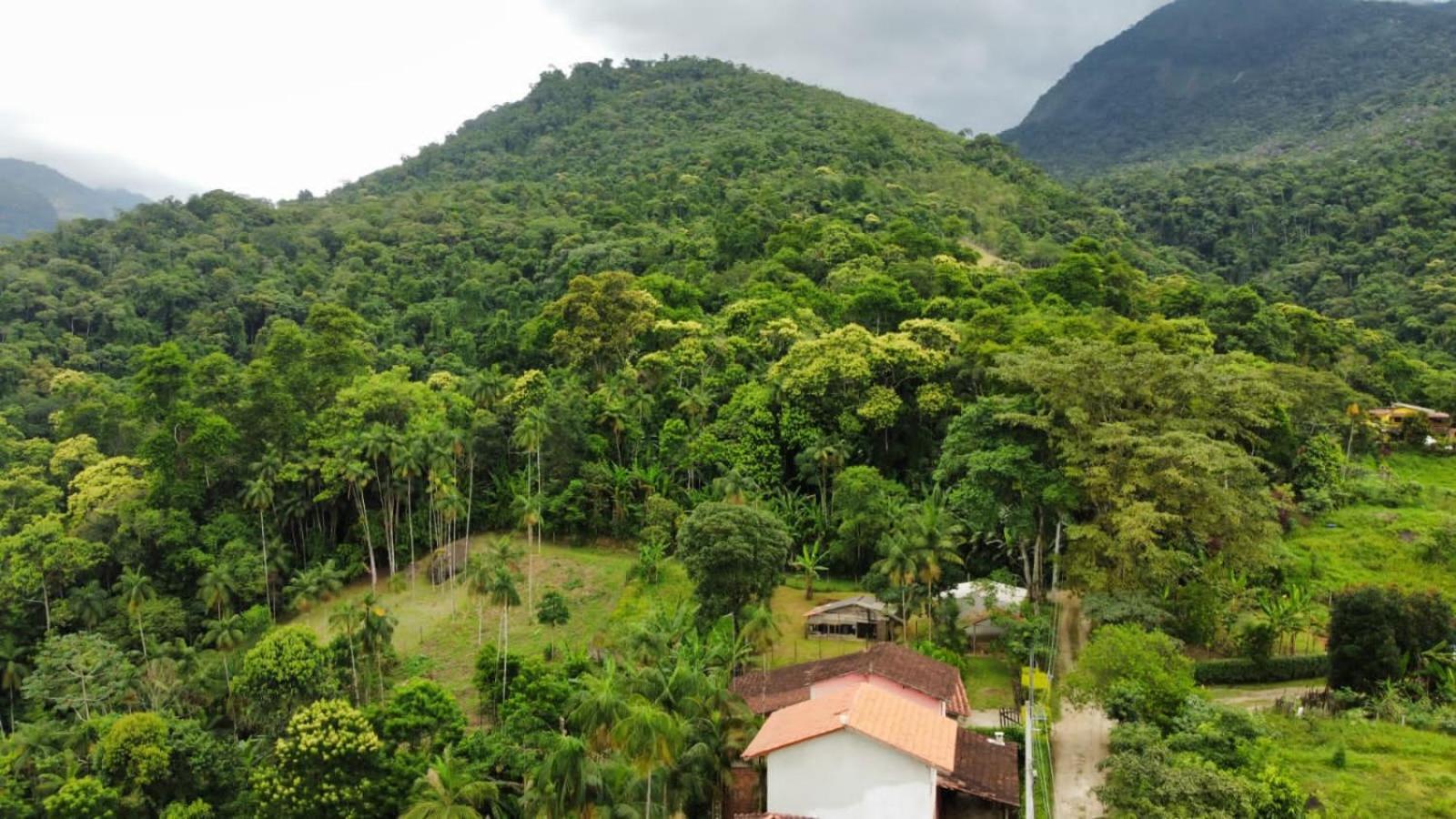 Casa Da Floresta Pico Da Aguia Araquari Exterior foto